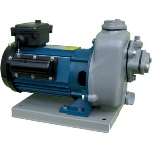 ڻĥݥۻĥݥ MPT1-0021R 50HZ ץݥ ĳ𲰳ư 50Hz ñ100 13.5m ᡼ľ Բ ̳ƻΥԲ