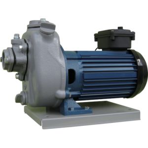 ڻĥݥۻĥݥ MPT1-0021R 60HZ ץݥ ĳ𲰳ư 60Hz ñ100 14m ᡼ľ Բ ̳ƻΥԲ