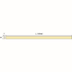 ڥ르եۥ르ե NSL101 ˥塼ѡȡ 11100