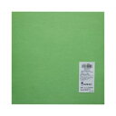 【サンフェルト】サンフェルト フェルト ミニー 20×20cm MBON20 405