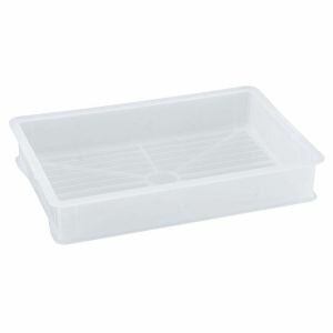 �ڴ���ץ饹���å����ȡۥꥹ �ѥ󥳥�ƥʡ������� Ʃ�� 604524