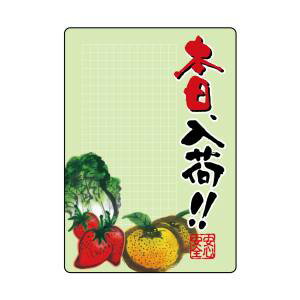 【のぼり屋工房】のぼり屋工房 マジカルPOP 本日入荷 L 22413