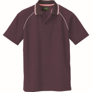 ڥȥۥȥ 50005-062-3L Ⱦµݥ ˽ 祳졼 3L