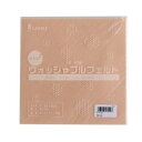 【サンフェルト】サンフェルト 洗えるフェルト ウォッシャブルフェルト 18cm角 5枚入 SUN18WF-RN22