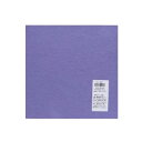 【サンフェルト】サンフェルト フェルト 20cm角 5枚入 SUN20-662(3)