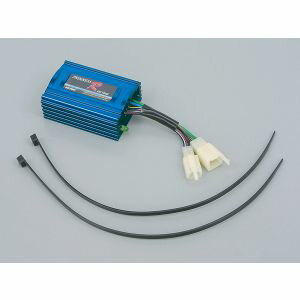 ڥǥȥ DAYTONAۥǥȥ 41719 ץ쥹-R-CDI ѡDIO-ZX DAYTONA