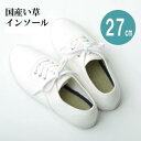 【イケヒココーポレーション 】イケヒコ インソール メンズ 消臭 抗菌 い草インソール ネイビー 約27cm
