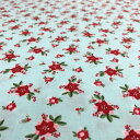送料無料!!【Riley Blake】Riley Blake USA24 PIXIE NOEL AQUA 100cm×110cm幅 輸入生地 USAコットン メーカー直送 代引不可 北海道沖縄離島不可【smtb-u】