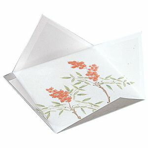 無蛍光紙に抗菌タイプのPPフィルムを貼合せてプレス加工をしております。そのままの形状で簡単に、お料理を盛り付けていただけます。付着した細菌（大腸菌など）の繁殖を抑えます。抗菌効果は長時間持続しますが、一度のご使用で必ず取り換えてください。「抗菌」は「殺菌」ではありません。食品の急速な殺菌・抗菌は期待しないでください。すでに細菌に汚染された食品に対する効果はありません。仕様サイズ：約10.5×10.5×H2.5cm / 底約7×7cm重量：約465g原産国：日本製こちらの商品は、メーカーでの長期欠品や生産終了を理由に、ご注文をキャンセルさせて頂く場合がございますので、あらかじめご了承願います。