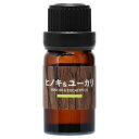 【カーメイト CARMATE】カーメイト L10082 ブラング 噴霧式ディフュ-ザ-専用フレグランスオイル 森林の香り ヒノキ&ユーカリ