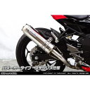 【ウイルズウィン WirusWin】ウイルズウィン 1642-30-02 スリップオン バズーカー ステンレス Ninja250SL JBK-BX250A WirusWin(4)