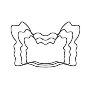 【たかもり】たかもり たかもりの生抜 かに 中