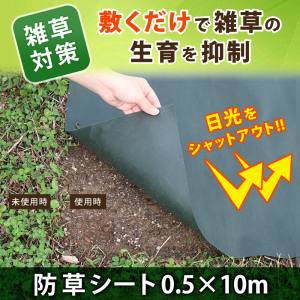 【アストロ】アストロ 602-09S 園芸用 防草シート 50cm幅 3セット