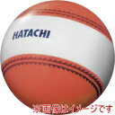 【羽立工業 HATACHI】ハタチ BH3851-54 ナビゲーションボール オレンジ HATACHI(4)