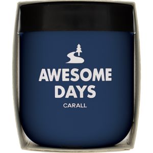 【晴香堂 カーオール CARALL】晴香堂 オーサムデイズゲル ウォーターシャワー 3557