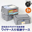 【アストロ】アストロ WIREDcase 消臭炭入衣類整理用中3個組グレー 620-34
