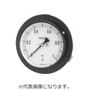 【長野計器】長野計器 AE15-233X30KPA 普通形圧力計 埋込形D枠 取付穴 φ100 メーカー直送 代引不可 北海道沖縄離島不可(4)