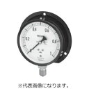 【長野計器】長野計器 AG10-243X-0.1/0.1MPA 普通形連成計 立形B枠 取付穴 φ150 メーカー直送 代引不可 北海道沖縄離島不可(4)