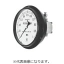 【長野計器】長野計器 DG96-173X20KPA 差圧計 メーカー直送 代引不可 北海道沖縄離島不可(4)