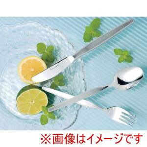 【遠藤商事 TKG】TKG クローム ハイライン イチゴスプーン OHI02014 遠藤商事(3)