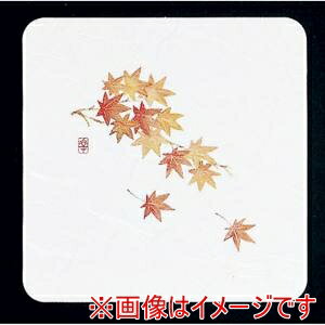 ڥƥåۥƥå   50 WCO-K7N ߤ