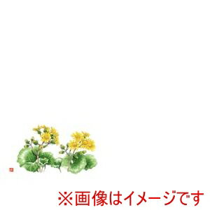 【カミイソ】カミイソ 尺3 テーブルマット 100枚入 ツワブキ No.527