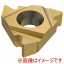 【SECO セコ・ツールズ・ジャパン】SECO セコ・ツールズ・ジャパン 22ER5API404 CP300 00075846 2個入 メーカー直送 代引不可 北海道沖縄離島不可(2)