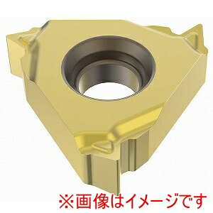 【SECO セコ・ツールズ・ジャパン】SECO セコ・ツールズ・ジャパン 16NR2.0ISO-A1 CP500 00064707 2個入 メーカー直送 代引不可 北海道沖縄離島不可