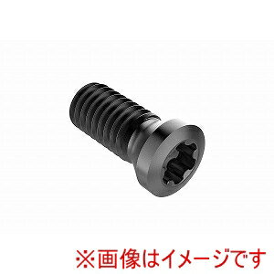 【SECO セコ・ツールズ・ジャパン】SECO セコ・ツールズ・ジャパン C45011-T20P 02421525 メーカー直送 代引不可 北海道沖縄離島不可