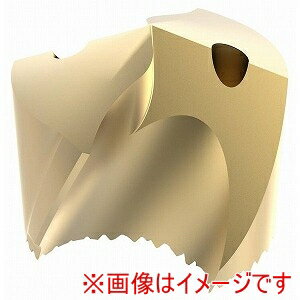 【SECO セコ・ツールズ・ジャパン】SECO セコ・ツールズ・ジャパン SD100-10.00-P 02469022 2個入 メーカー直送 代引不可 北海道沖縄離島不可