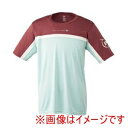 【ダンロップ DUNLOP】ダンロップ DAL8540 Tシャツ CLDブルー L