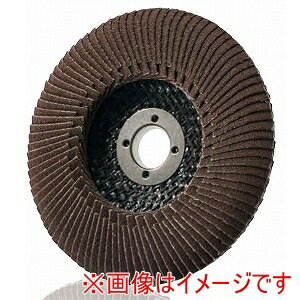 ڥ ICHIGUCHIۥ TDEX10015-A-100 ƥΥǥEX-A 100X15 #100 5 ᡼ľ Բ ̳ƻΥԲ