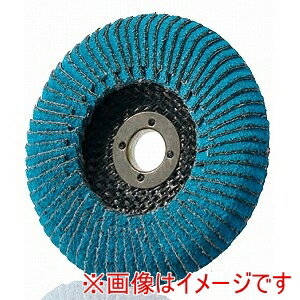 ڥ ICHIGUCHIۥ TDEX10015-Z-40 ƥΥǥEX-Z 100X15 #40 5 ᡼ľ Բ ̳ƻΥԲ