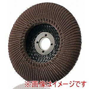 ڥ ICHIGUCHIۥ TDEX10015-A-120 ƥΥǥEX-A 100X15 #120 5 ᡼ľ Բ ̳ƻΥԲ