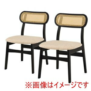 送料無料！！【萩原】萩原 FL-8654BK-2S チェア 2点セット ブラック メーカー直送 代引不可 北海道沖縄離島不可【smtb-u】