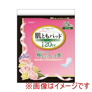 GA Ƃpbh ͂߂Ă̐lS120cc 20