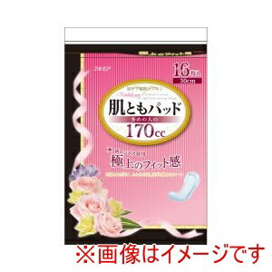 GA Ƃpbh ߂̐l170cc 16