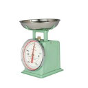 【ダルトン DULTON】ダルトン 100-126 ダイエットスケール 500g ミントグリーン DULTON(3)