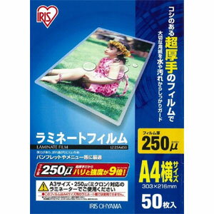 ڥꥹ IRISۥꥹ LZ-25A450 ߥ͡ȥե A4 50 250ߥ