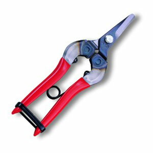 【アルスコーポレーション ARS】アルス 310 採果鋏 箱入