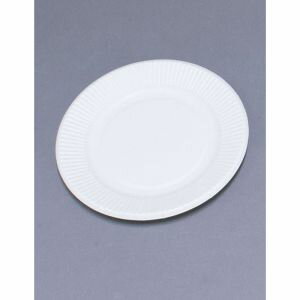 【ペーパーウェア P&W】スタンダードプレート 100枚入 6 181921