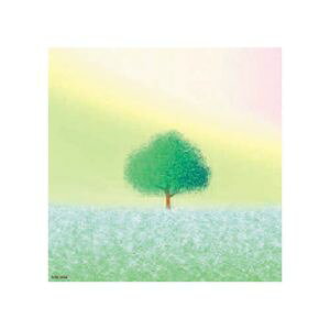 ڥ륷 ARCۥ˥Х ڴ郎դǤܤƸ̾ CD APX008