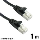 【輸入特価アウトレット】LANケーブル フラットタイプ 1m ブラック ツメ折れ防止 CAT6対応