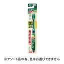 【小林製薬】小林製薬 生葉 極幅ブラシ ふつう 1本(4)