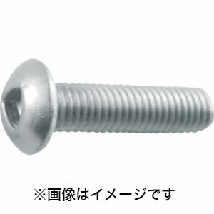 【トラスコ中山 TRUSCO】三角穴ボタンボルト ステンレス M4×10 11本入 B101-0410