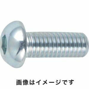 【トラスコ中山 TRUSCO】六角穴付ボタンボルト三価 白 全ネジ M6×10 20本入 B774-0610