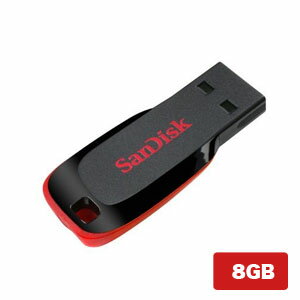 【サンディスク SanDisk 海外パッケージ】サンディスク