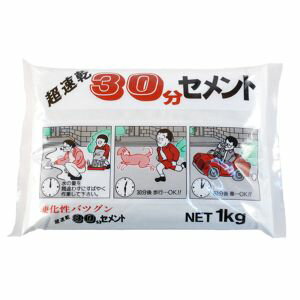 【家庭化学工業】家庭化学工業 超速乾30分セメント ホワイト 1kg