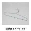【アズワン AS ONE】アズワン ステンレスハンガー 10本入 3-2000-01
