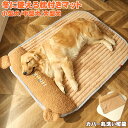 大型犬 マット 秋冬用 防寒対策 大型犬 ベッドあたたかいマット ペット マット ベッド 小型犬/中型犬/大型犬 シンプル 安眠 秋冬用 取り外し可能 寒さ対策 汚れにくい あったたかい 柴犬 滑り止め